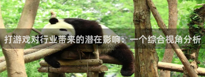 雷火电竞平台怎么样