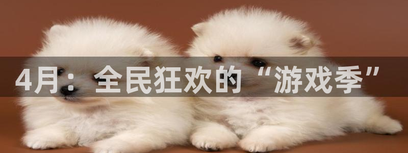 广州雷火竞技网络科技有限公司怎么样：4月：全民狂欢的“游戏季”