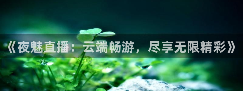 178体育直播最新版下载：《夜魅直播：云端畅游，尽享无限精彩》
