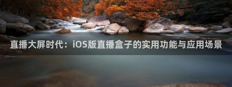 178体育直播ios版：直播大屏时代：iOS版直播盒子的实用功能与应用场景