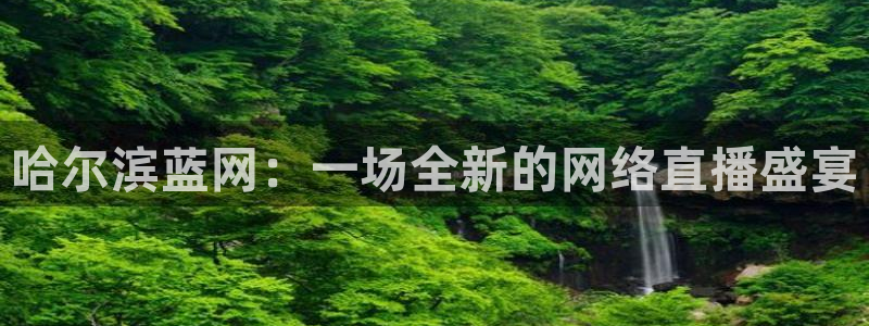 178足球在线直播观看直播：哈尔滨蓝网：一场全新的网络直播盛宴