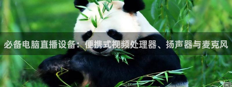 178直播体育直播：必备电脑直播设备：便携式视频处理器、扬声器与麦克风