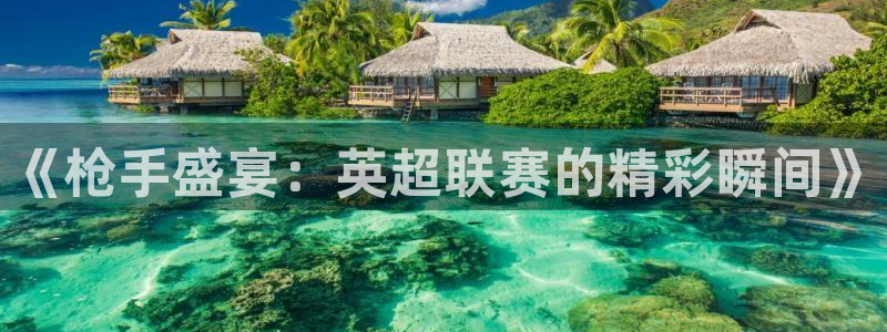 178足球直播网：《枪手盛宴：英超联赛的精彩瞬间》