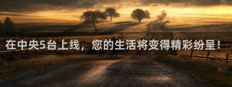 178足球直播观看现场直播