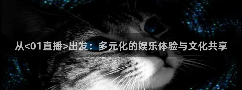 178体育直播比赛在线观看