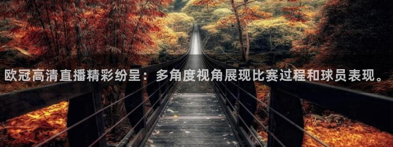 178体育直播比赛在线观看