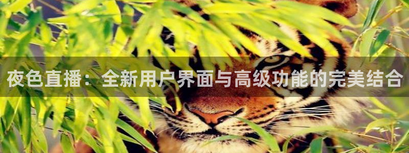 178免费体育赛事直播