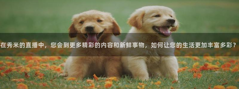 178直播体育艾伦直播