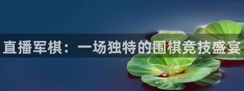 178看球直播app：直播军棋：一场独特的围棋竞技盛宴