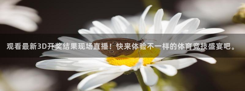 178足球比赛直播在线
