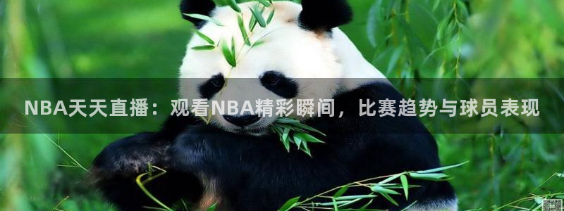 178足球直播在线直播：NBA天天直播：观看NBA精彩瞬间，比赛趋势与球员表现
